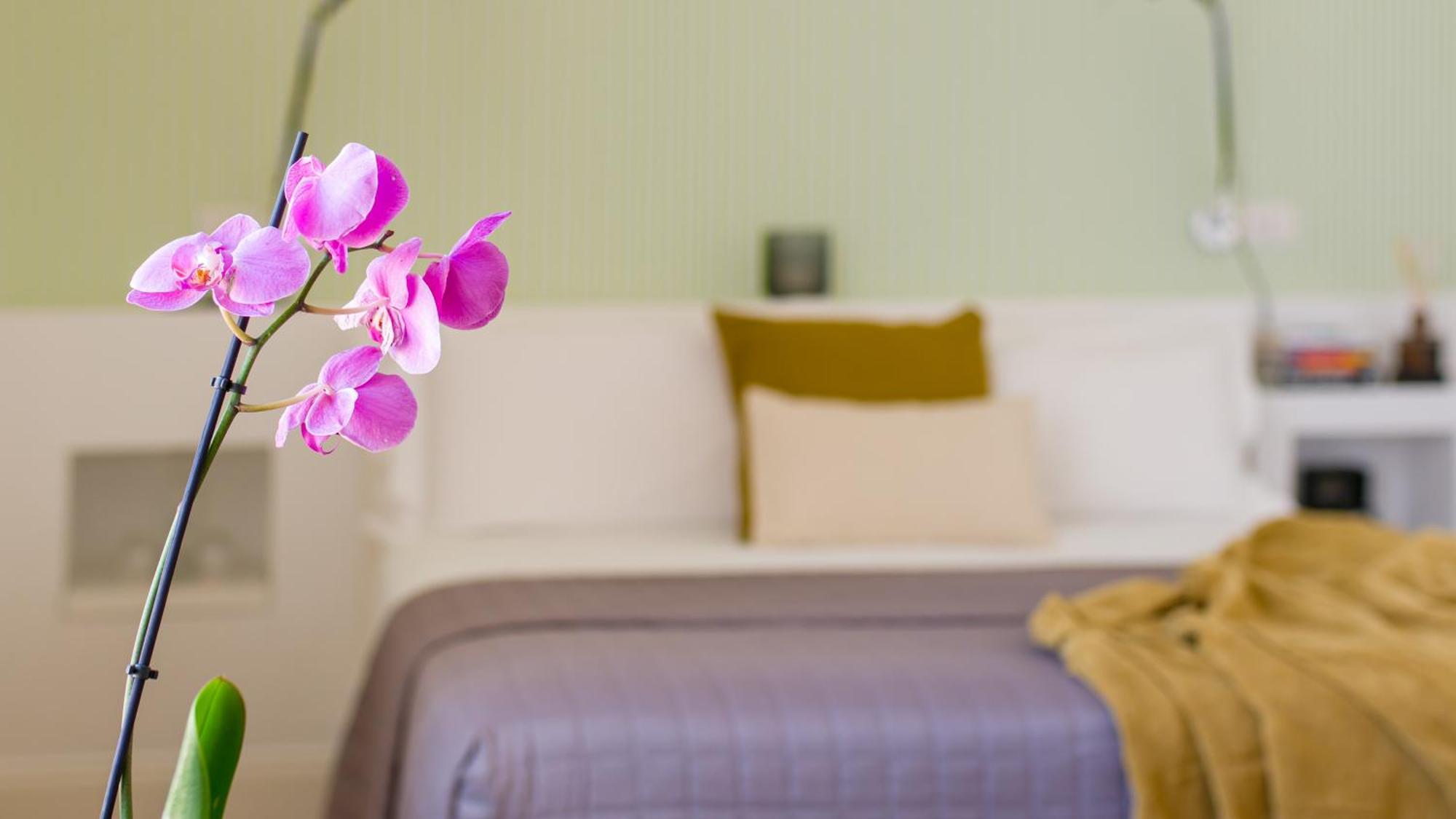 Santa Chiara Boutique Hotel Napoli Esterno foto